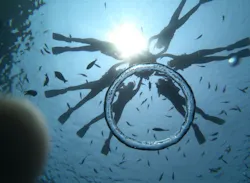 武藤潜水に投稿された画像(2026/4/14)