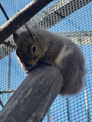 那須どうぶつ王国に投稿された画像(2026/4/14)