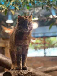 那須どうぶつ王国に投稿された画像(2026/4/14)