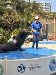 サンシャイン水族館に投稿された画像(2026/4/14)