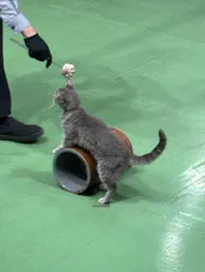 那須どうぶつ王国に投稿された画像(2026/4/14)