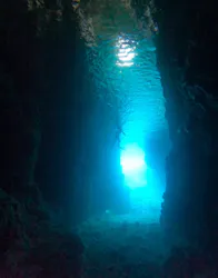 武藤潜水に投稿された画像(2026/4/15)