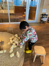 Moff animal cafe 小田原ダイナシティ店に投稿された画像(2026/4/15)