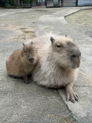 長崎バイオパークに投稿された画像(2026/4/15)