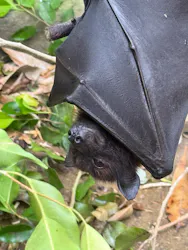 長崎バイオパークに投稿された画像(2026/4/15)