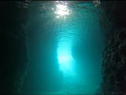 武藤潜水に投稿された画像(2026/4/16)