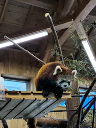 伊豆シャボテン動物公園に投稿された画像(2026/4/16)