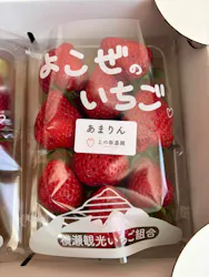 上の原農園に投稿された画像(2026/4/16)