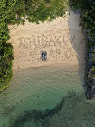 NATURE SHOP PAOに投稿された画像(2026/4/19)