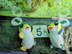 サケのふるさと 千歳水族館に投稿された画像(2026/4/21)