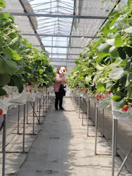 農家 さいとうに投稿された画像(2026/4/26)