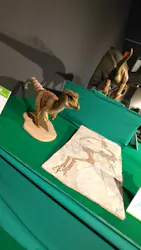 特別展「大絶滅展―生命史のビッグファイブ」に投稿された画像(2026/4/29)