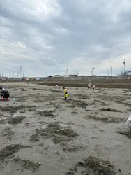 形原地先(春日浦海岸)潮干狩り場に投稿された画像(2026/4/29)