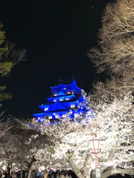 大阪城公園 西の丸庭園に投稿された画像(2026/5/2)