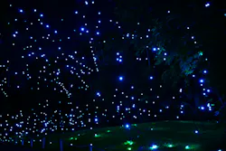 美らヤシパークオキナワ・東南植物楽園に投稿された画像(2026/5/2)