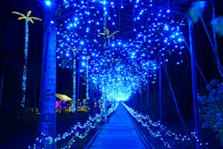 美らヤシパークオキナワ・東南植物楽園に投稿された画像(2026/5/2)
