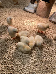 Moff animal cafe イオンモール新利府店に投稿された画像(2026/5/3)