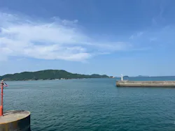 鳥羽湾めぐりとイルカ島に投稿された画像(2026/5/3)