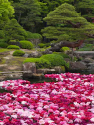 日本庭園 由志園に投稿された画像(2026/5/4)
