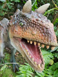御菓子御殿 名護店 やんばる亜熱帯の森DINO恐竜PARKに投稿された画像(2026/5/4)