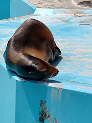 鹿児島市平川動物公園に投稿された画像(2026/5/5)