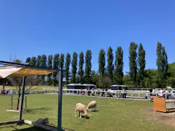 滋賀農業公園ブルーメの丘に投稿された画像(2026/5/5)