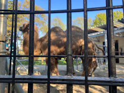 秋田市大森山動物園に投稿された画像(2026/5/5)