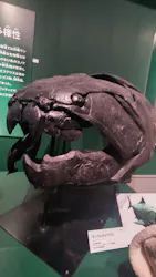 特別展「大絶滅展―生命史のビッグファイブ」に投稿された画像(2026/5/5)
