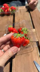稲鍵ファームに投稿された画像(2026/5/6)