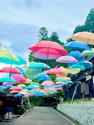 加賀 伝統工芸村 ゆのくにの森に投稿された画像(2026/5/6)