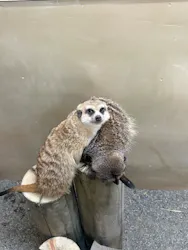 群馬サファリパークに投稿された画像(2026/5/7)