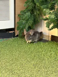 群馬サファリパークに投稿された画像(2026/5/7)