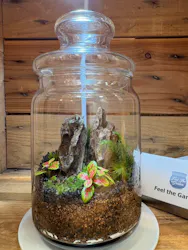 Feel the Garden幕張店に投稿された画像(2026/5/9)