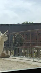 東北サファリパークに投稿された画像(2026/5/9)