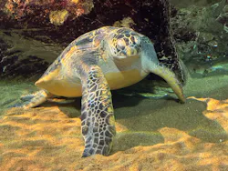 九十九島水族館海きららに投稿された画像(2026/5/10)