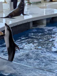 アクアワールド茨城県大洗水族館に投稿された画像(2026/5/10)
