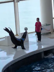 アクアワールド茨城県大洗水族館に投稿された画像(2026/5/10)