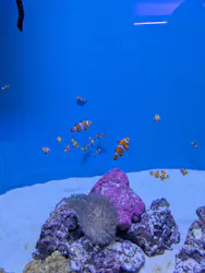 アクアワールド茨城県大洗水族館に投稿された画像(2026/5/10)