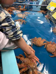 竹島水族館に投稿された画像(2026/5/10)