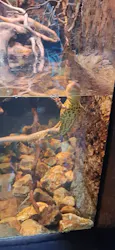 体感型動物園iZooに投稿された画像(2026/5/10)