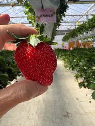 the BERRY YOKOHAMAに投稿された画像(2026/5/10)