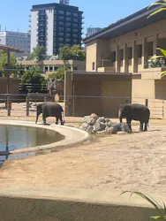 天王寺動物園に投稿された画像(2026/5/10)