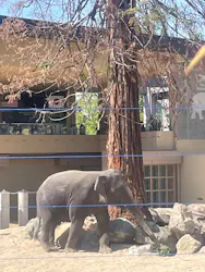 天王寺動物園に投稿された画像(2026/5/10)