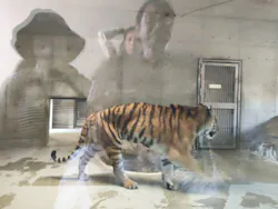 天王寺動物園に投稿された画像(2026/5/10)