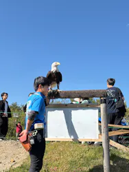 那須どうぶつ王国に投稿された画像(2026/5/10)