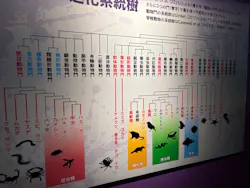 特別展「超危険生物展 科学で挑む生き物の本気」に投稿された画像(2026/5/10)