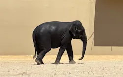 天王寺動物園に投稿された画像(2026/5/10)