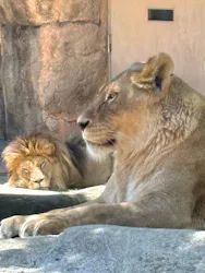 天王寺動物園に投稿された画像(2026/5/10)