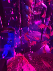ひらかたパークに投稿された画像(2026/5/10)