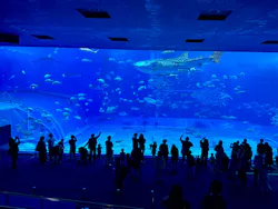 沖縄美ら海水族館×JUNGLIA OKINAWA(ジャングリア沖縄)に投稿された画像(2026/5/10)